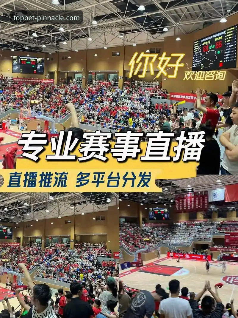 揭秘平博娱乐平台登录入口背后的真相：专业分析师带你解读赛事直播新体验